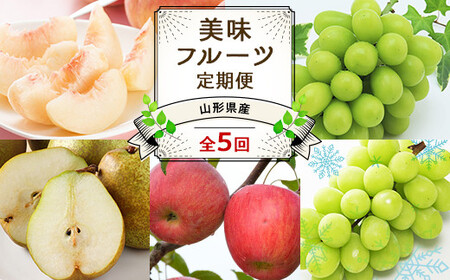 【令和7年産先行予約】 《定期便5回》 JA 夏秋冬美味フルーツ定期便 『JA山形おきたま』 山形県 南陽市 [1491]
