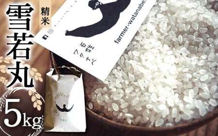 令和7年産 特別栽培米 雪若丸 (精米) 5kg 『最上園』 米 白米 ご飯 農家直送 山形県 南陽市 [1679]