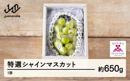 ss\t 2026N R`RӒY IVC}XJbg 1[i650gj2026N9{珇  uhE F21A-237