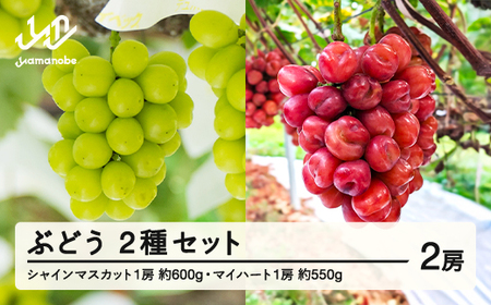 [先行予約]2025年 山形県山辺町産 マイハートと特選シャインマスカットセット 2025年10月上旬から順次発送 F21A-241