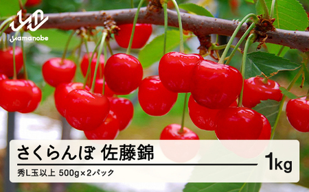 [先行予約] 山形県産 さくらんぼ 佐藤錦 バラパック詰 秀 L玉以上 1kg (500g×2) 2026年6月中旬から順次発送 果物 フルーツ nf-snbpx500x2