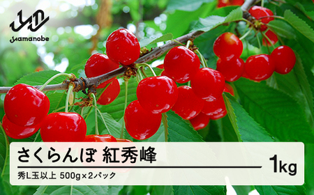 [先行予約] 山形県産 さくらんぼ 紅秀峰 バラパック詰 秀 L玉以上 1kg (500g×2) 2026年6月下旬から順次発送 果物 フルーツ nf-bsbpx500x2