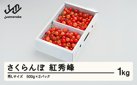 [先行予約] さくらんぼ 紅秀峰 秀Lサイズ 1kg バラ詰め 化粧箱 (500gx2) 2024年産 令和6年産 山形県産 ns-bsslb1