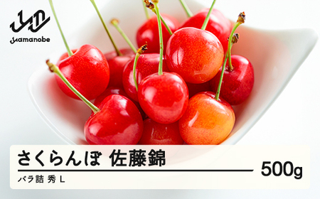 [先行予約]2026年 山形県産 さくらんぼ 佐藤錦 バラ詰 500g 秀 L F20A-916