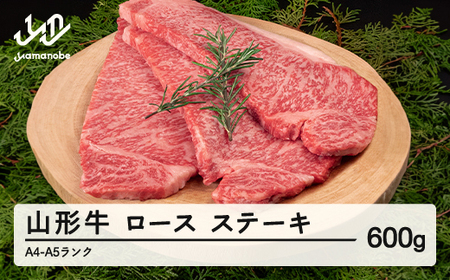 R` [X Xe[L 3 v600g A4-A5N Ⓚ {Y tc-gnrxt600