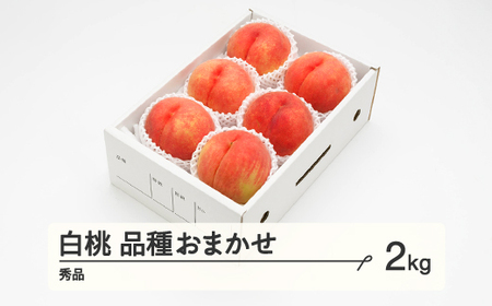 《先行予約》2024年 山形県産 もも 白桃 秀品 品種おまかせ 化粧箱入り 約2kg  令和6年産 ns-mohtx2