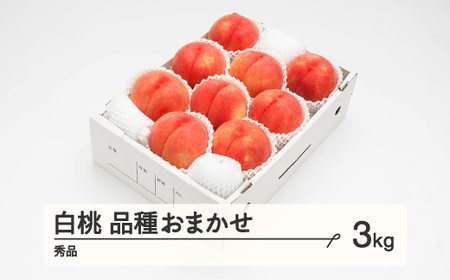 [先行予約]2025年 山形県産 もも 白桃 秀品 品種おまかせ 化粧箱入り 約3kg 令和7年産 ns-mohtx3