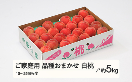 もも 桃 品種おまかせ 白桃 ご家庭用 約5kg(10~25個程度) 山形県産 tf-moywm5