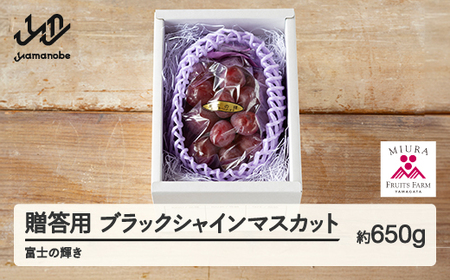 ss\t2026N R`RӒY p ubNVC}XJbg i650gj xm̋P Ԃǂ 1[ ߘa8NY 2026NY ʕ t[c2026N9{珇 bg-bufkx700