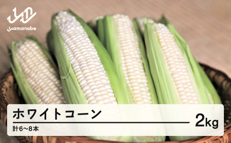 《先行予約》2025年 山形県産 ホワイトコーン 2kg(6〜8本）生で味わう 白とうもろこし トウモロコシ コーン 夏 野菜 やさい ※沖縄・離島への配送不可 F21A-243