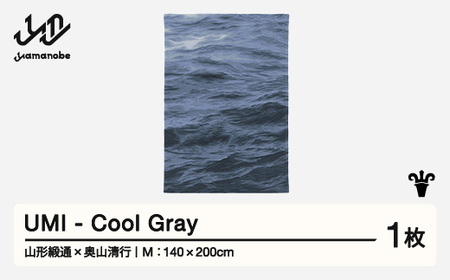 [山形緞通×奥山清行] 『UMI』 Cool Gray (M) 高級 カーペット 絨毯 じゅうたん インテリア ラグ おしゃれ オシャレ お洒落 oc-loumm