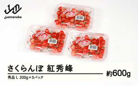 【ふるさと納税】先行予約 さくらんぼ 紅秀峰 秀品 L 約600g 令和7年産 2025年産 山形県産 フルーツ 果物 tf-bspsl600