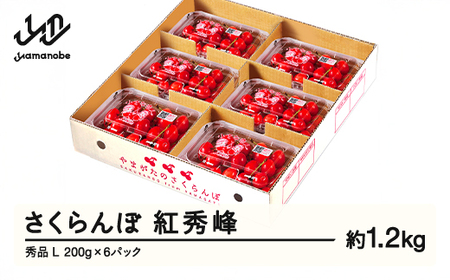 【ふるさと納税】先行予約 さくらんぼ 紅秀峰 秀品 L 約1.2kg 令和7年産 2025年産 山形県産 フルーツ 果物 tf-bspsl1200