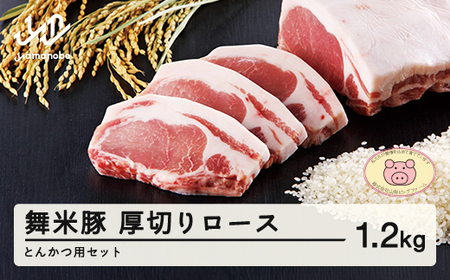 山形県産 ブランド豚 厚切りロｰスとんかつ用セット 1.2kg F20A-196