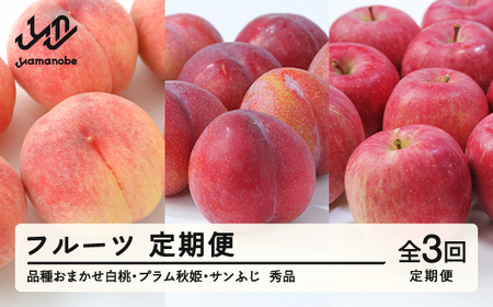 【フルーツ定期便】品種おまかせ白桃・プラム秋姫・サンふじ 秀品 全3回 tf-ft3hpr