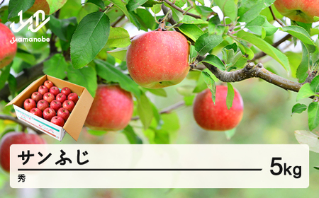 [先行予約]りんご サンふじ 約5kg 秀品 リンゴ 林檎 令和7年産 2025年産 果物 山形県産 mm-risfs5
