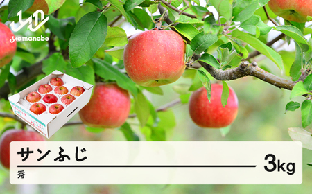 [先行予約]りんご サンふじ 約3kg 秀品 リンゴ 林檎 令和7年産 2025年産 果物 山形県産 mm-risfs3