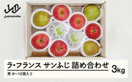 ss\tR`Y EtX Tӂ l 3kg (8~12) nf-fslrs3
