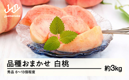 [先行予約]もも 桃 品種おまかせ 8月旬の白桃 秀品 約3kg (6〜13個程度) 8月発送 山形県産 nf-mohtx3-8f