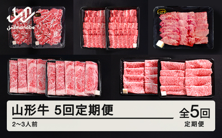 山形牛 5回 定期便 2~3人前 すき焼き 焼肉 肩ロース バラ切り落とし カルビ モモ tf-tkygx1560