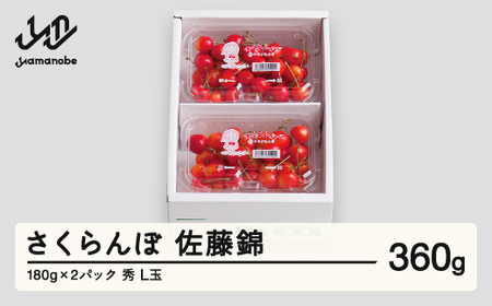 さくらんぼ 佐藤錦 秀品 L玉 180g×2パック 2026年産 令和8年産 山形県産 mm-snplx400
