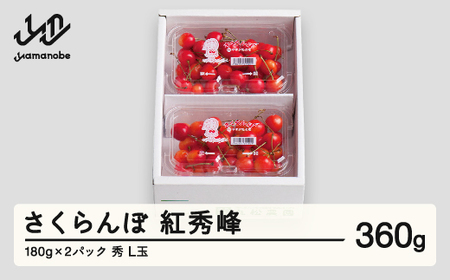 ys\z gG Gi L 180g×2pbN 2026NY ߘa8NY R`Y mm-bsplx400