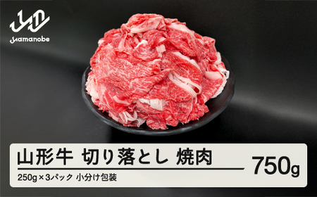 山形牛 切り落とし 750g 部位お任せ 形不揃い 牛肉 高橋畜産 ※沖縄・離島への配送不可 tc-gnxox750