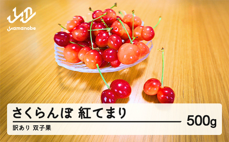 2026年産 山形県産 さくらんぼ 訳あり 双子果  紅てまり  500g  sn-btwxx500