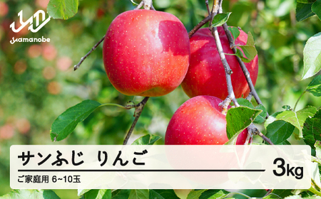 先行予約 ご家庭用 2025年 令和7年産 山形県産 サンふじ りんご 林檎 リンゴ 3kg(6~10玉) yf-risfk3 ※沖縄・離島への配送不可