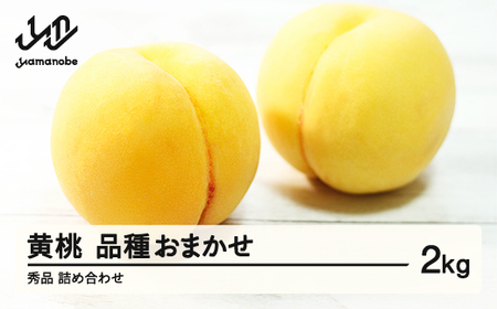 先行予約 もも 有袋黄桃 秀品 品種おまかせ 2kg 化粧箱入 フルーツ 果物 2025年産 令和7年産 山形県産 桃 黄桃 モモ 送料無料 ※沖縄・離島への配送不可 ns-mootx2