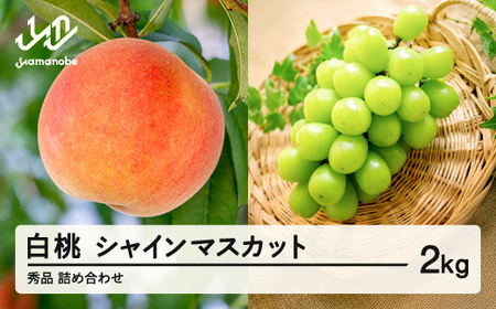 先行予約 山形県産 白桃 シャインマスカット 秀品 詰め合わせ 2kg 2025年産 令和7年産 山形県産 送料無料 ※沖縄・離島への配送不可 (桃 もも モモ シャイン マスカット 葡萄 ぶどう ブドウ 果物 フルーツ フルーツセット) ns-fshsx2