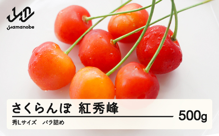 [先行予約] さくらんぼ 紅秀峰 秀Lサイズ 500g バラ詰め 2026年産 令和8年産 山形県産 ns-bsslb500