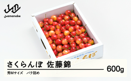 [先行予約]さくらんぼ 佐藤錦 秀Mサイズ バラ詰め 600g (600g×1箱) 2026年産 令和8年産 山形県産 ns-snsmb600