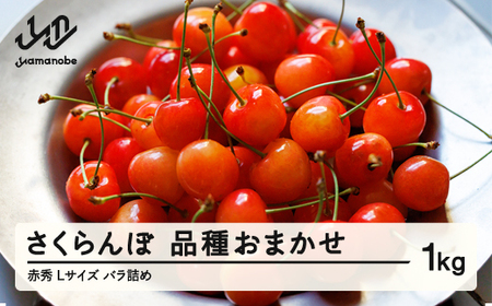[先行予約] さくらんぼ 品種おまかせ 赤秀品 1kgバラ詰め L玉 2026年産 令和8年産 山形県産 mm-saoal1000