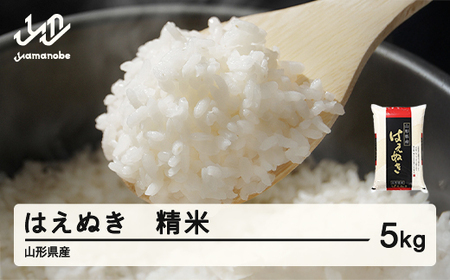 [先行予約] 新米 はえぬき 精米 5kg 10月上旬〜10月中旬発送 配送時期選べる 令和7年産 2025年産 ※沖縄・離島への配送不可 tf-hasxb5-10f