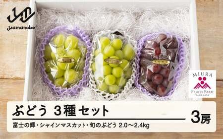 ys\zԂǂ xm̋P VC}XJbg 1 3Zbg ߘa8NY 2026NY R`RӒY ubNVC}XJbg t[c ʕ Eւ̔zs  bg-bu3xx2000