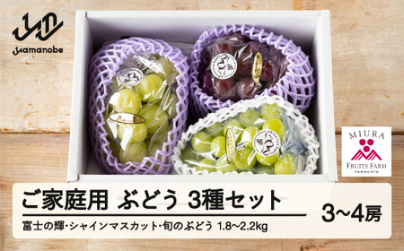 [先行予約]ぶどう 富士の輝 シャインマスカット 他1種 3種セット ご家庭用 令和8年産 2026年産 山形県山辺町産 ブラックシャインマスカット フルーツ 果物 ※沖縄・離島への配送不可 bg-bu3xk1800