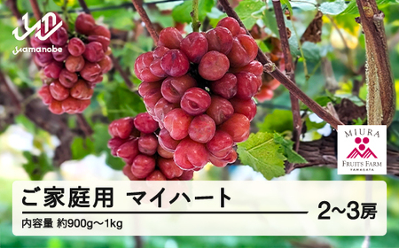 ys\z_ƎҎx Ԃǂ }Cn[g 2?3[Zbg ƒp ߘa8NY 2026NY R`RӒY t[c ʕ Eւ̔zs bg-bumxk1000