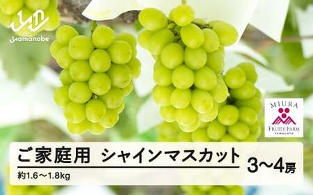 s\ Ԃǂ VC}XJbg 3`4[Zbg ƒp ߘa7NY 2025NY R`RӒY t[c ʕ Eւ̔zs bg-busxk1600