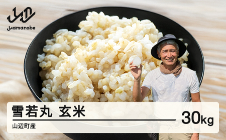 ss\tV    30kg 2025Y ߘa7NY RӒY 2025N11{珇   uh  os-ywgxa30 Eւ̔zs