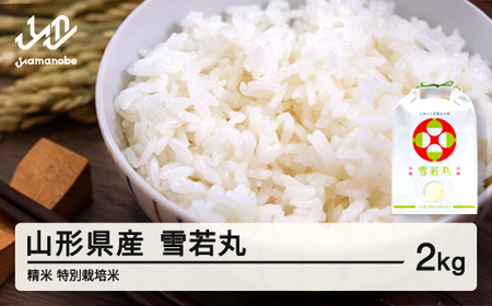    2kg 3㔼 ʍ͔| ߘa7NY 2025NY R`Y Eւ̔zs on-ywxxb2-3s