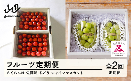 ys\zt[c   Ԃǂ VC}XJbg v2 ߘa8NY 2026NY R`RӒY t[c ʕ  bg-ftssx2