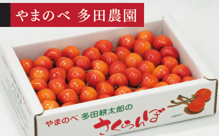 [先行予約]2026年 山形県産 紅秀峰 バラ詰め 約700g L~2Lサイズ以上 やまのべ多田耕太郎のさくらんぼ サクランボ tn-bsxlb700