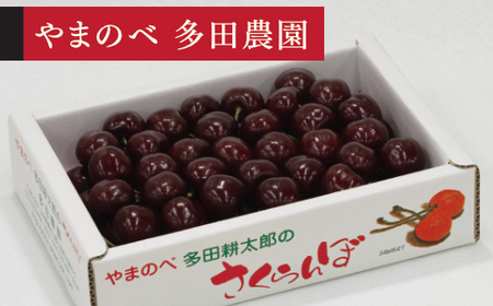 [先行予約]2026年 山形県産 サミット バラ詰め 約700g やまのべ多田耕太郎のさくらんぼ サクランボ tn-smx2b700
