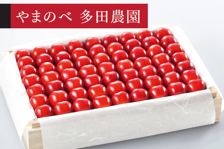 《先行予約》2026年 山形県産 特選やまがた紅王 桐箱詰約1.1kg やまのべ多田耕太郎のさくらんぼ tn-ybxxk1100