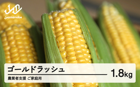[先行予約]2026年 山形県産 農業者支援 ご家庭用 ゴールドラッシュ 1.8kg とうもろこし トウモロコシ コーン 夏 野菜 やさい ※沖縄・離島への配送不可 送料無料 ot-cngwx1800