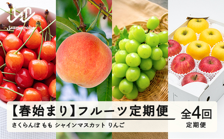 �y��s�\��z�y�t�n�܂�z�t���[�c����� �S4�� 2026�N�Y �ߘa8�N�Y �������� ������ ���� �Ԃǂ� �V���C���}�X�J�b�g ��� �T���ӂ� �V�i�m�S�[���h  �ʕ� �������� ns-ft4xx-sp ������y��