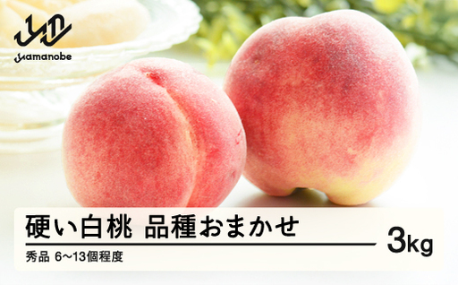 [先行予約]山形県産 かための白桃 秀品 約3kg (6〜13個程度) 2026年8月中旬〜9月上旬頃発送予定 山形県産 送料無料 nf-mokhs3