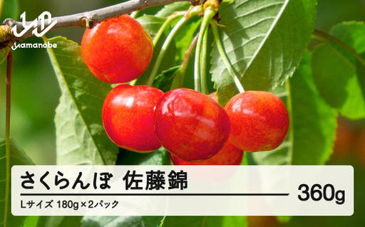 [先行予約]2026年 山形県産 佐藤錦 さくらんぼ Lサイズ 180g 2パック入 ※沖縄・離島への配送不可 ts-snxlp360