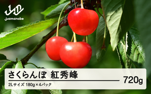 [先行予約]2026年 山形県産 紅秀峰 さくらんぼ 2Lサイズ 180g 4パック入り ※沖縄・離島への配送不可 ts-bs2lp720